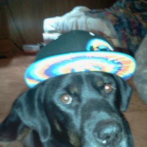 Meet your Posher, Matt